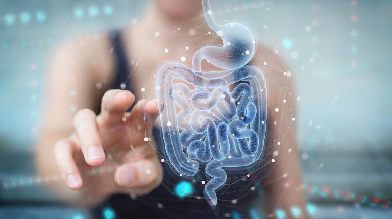 The Gut Microbiome And IBD: What Can Be Discovered? | Microba