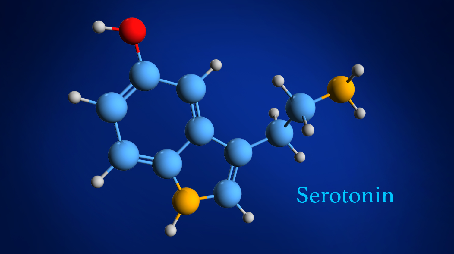 Serotonin – More than just a mood regulator | Microba