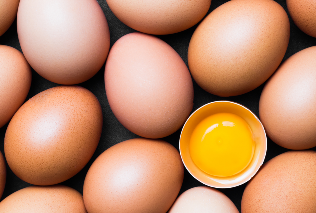 Eggs Are they on the menu for your gut microbiome? Microba