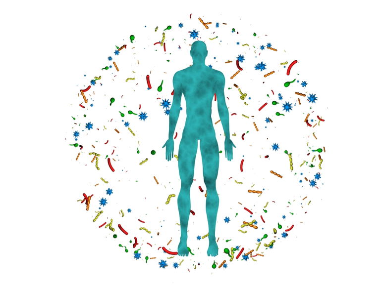 environment and microbiome